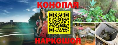 метадон Будённовск