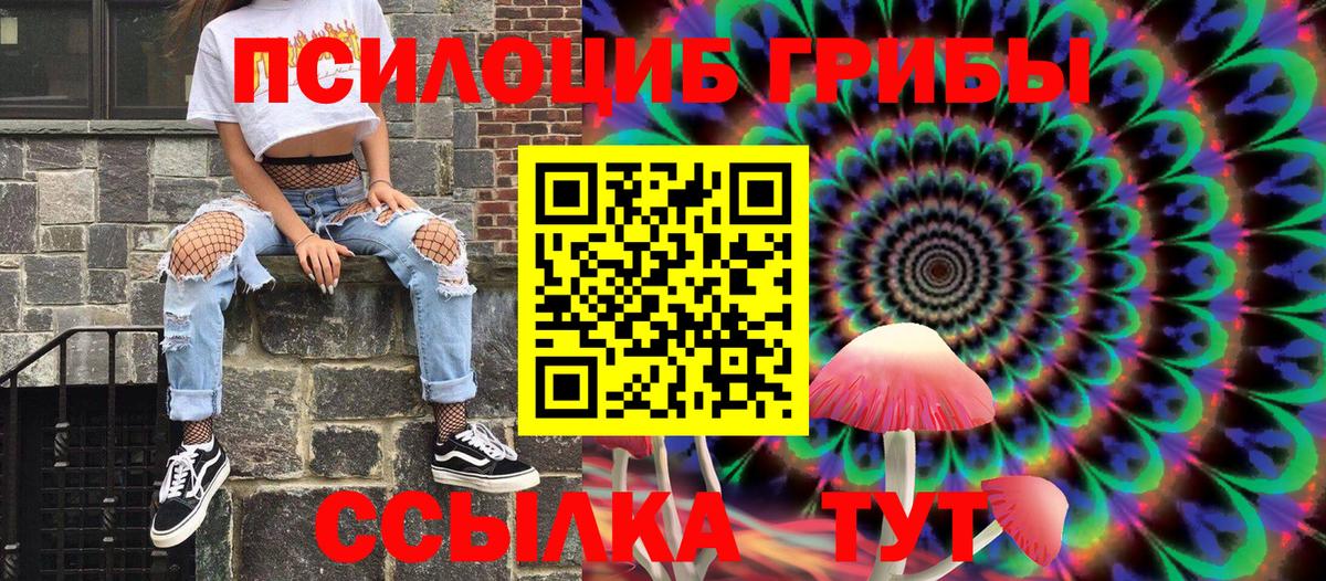 Ликино-Дулёво  Псилоцибиновые грибы Cubensis  продажа наркотиков  Вход с VPN 